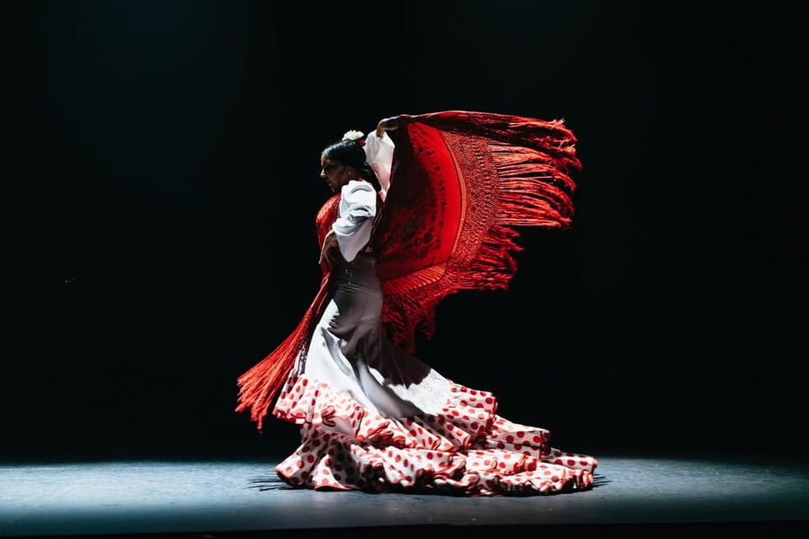 Seville: Live Flamenco Dancing Show Ticket at the Theater - The opening moments: guitar, voice, and footwork