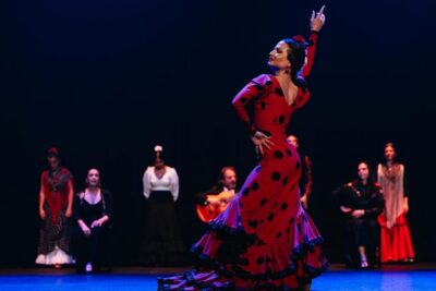 Live Flamenco Dancing Show Ticket at the Theater
