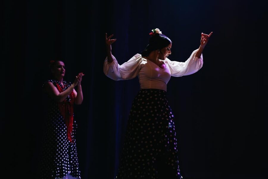 Seville: Live Flamenco Dancing Show Ticket at the Theater - Singing and guitar are not side acts