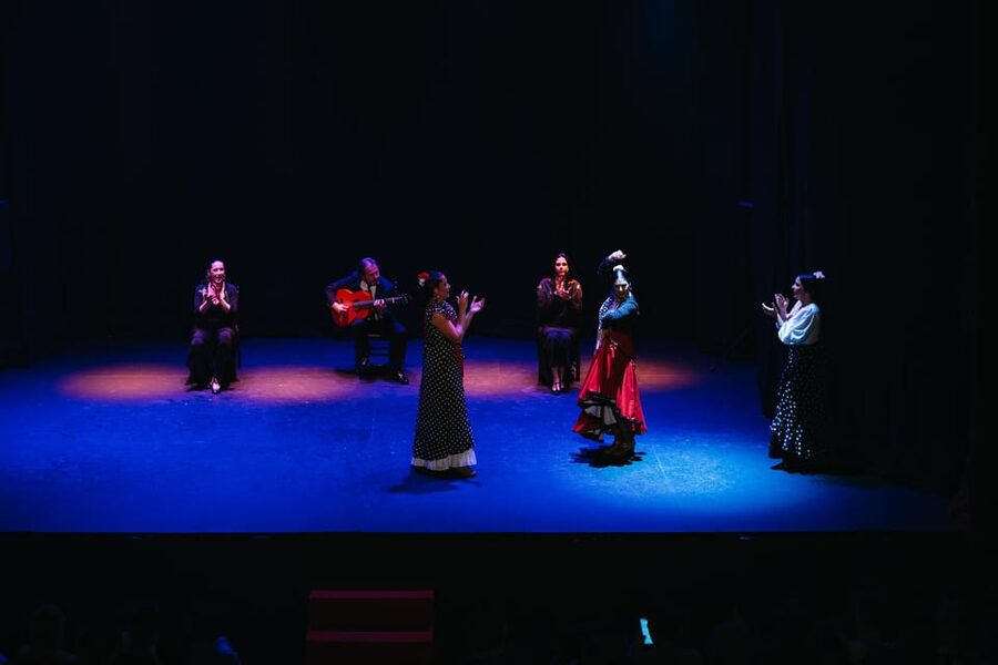 Seville: Live Flamenco Dancing Show Ticket at the Theater - Seating, sightlines, and the arrival strategy