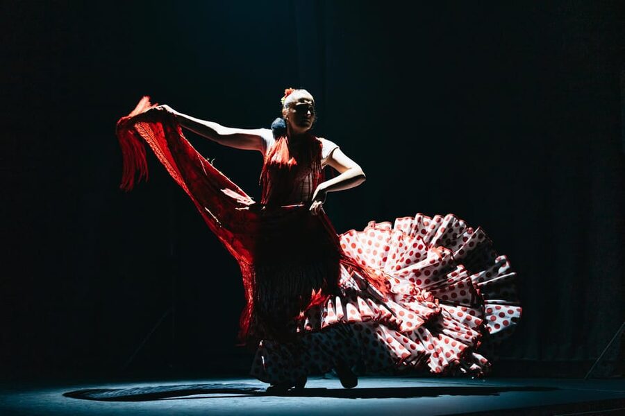 Seville: Live Flamenco Dancing Show Ticket at the Theater - Who will enjoy this flamenco performance?