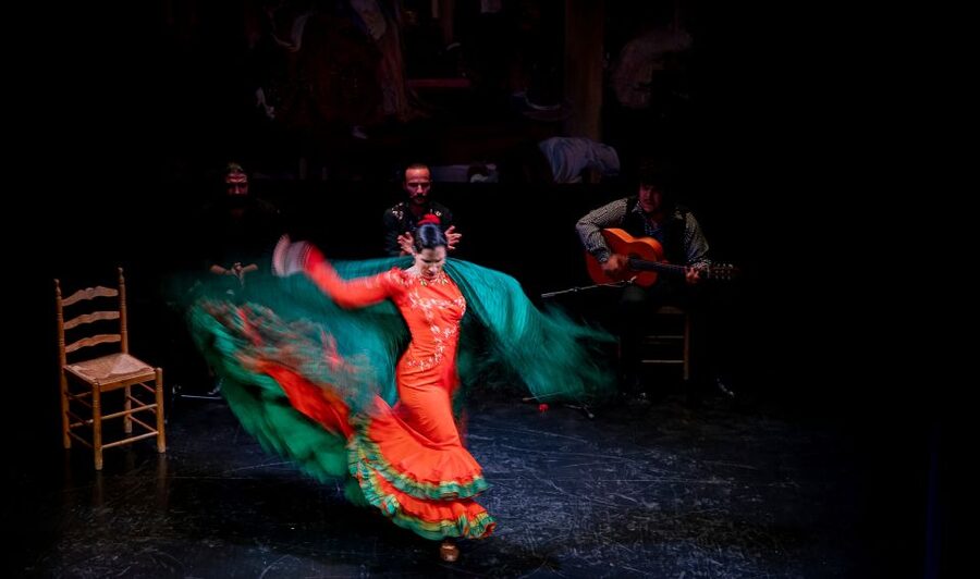 Seville: Live Flamenco Show at "Teatro Flamenco Triana" - The Music Is More Than Background