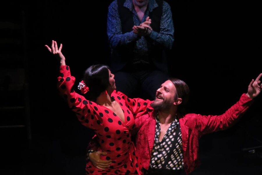 Seville: Live Flamenco Show at "Teatro Flamenco Triana" - A Theatre Show, Not a Dinner Attraction