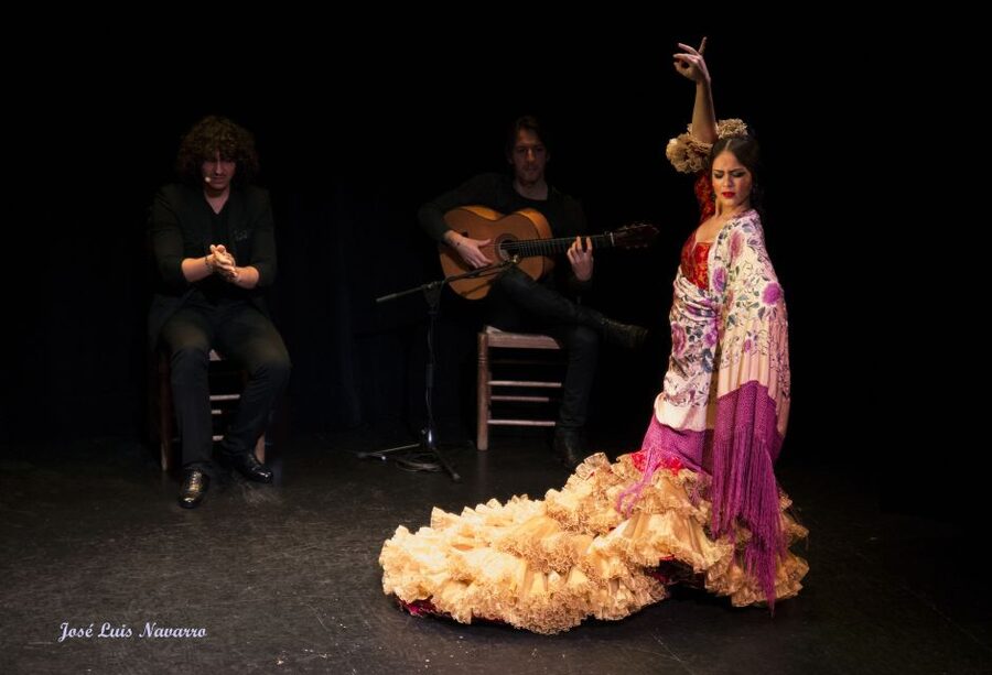 Seville: Live Flamenco Show at "Teatro Flamenco Triana" - Comfort, Heat, and Seat Expectations