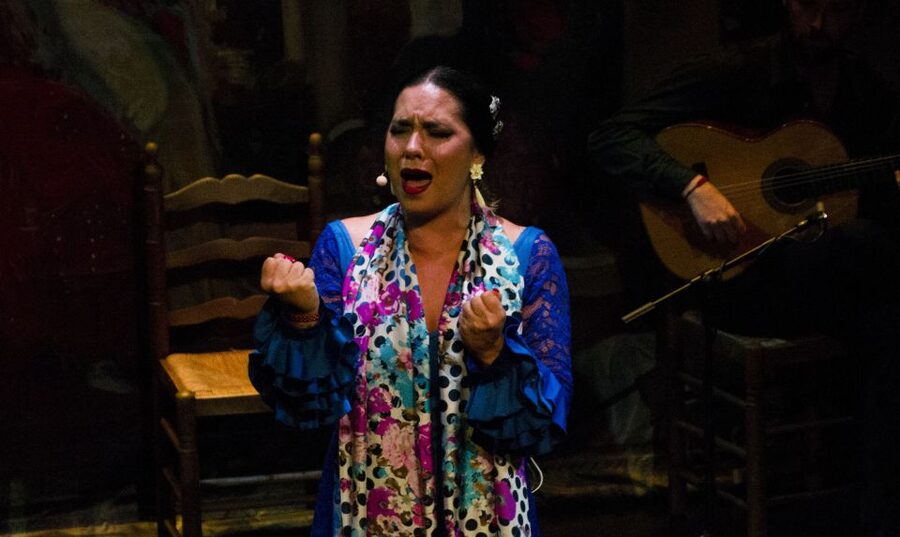 Seville: Live Flamenco Show at "Teatro Flamenco Triana" - Who Should See This Show?