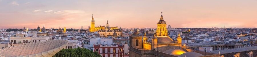Seville: Priority Access Cathedral & Giralda Tour - Climbing the Giralda’s 35 broad ramps