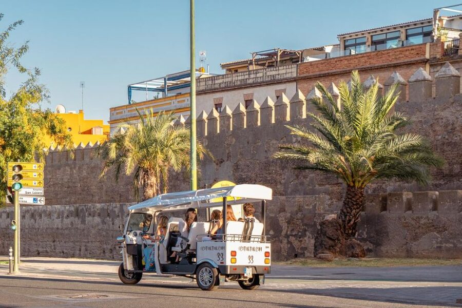 Seville: Private City Tour by Eco Tuk Tuk - The two-hour route and the Cartuja area