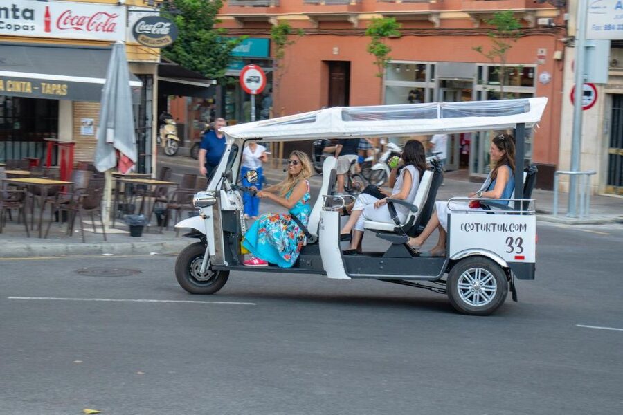 Seville: Private City Tour by Eco Tuk Tuk - Along the Guadalquivir to Torre del Oro