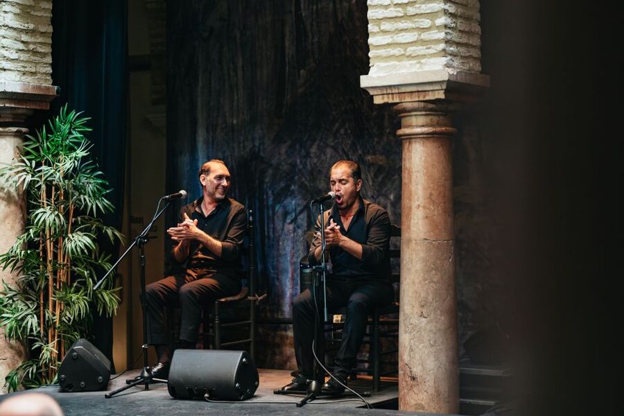 Seville: Puro Flamenco Show with Optional Museum Ticket - A few practical drawbacks to weigh