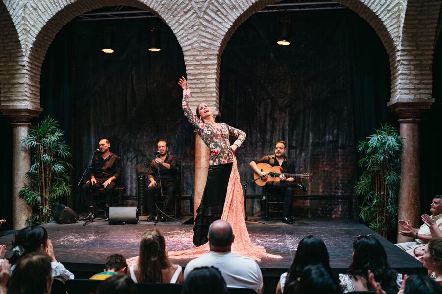 Seville: Puro Flamenco Show with Optional Museum Ticket - Entering the Flamenco Dance Museum in Santa Cruz