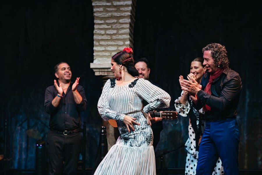 Seville: Puro Flamenco Show with Optional Museum Ticket - The discipline behind the passion