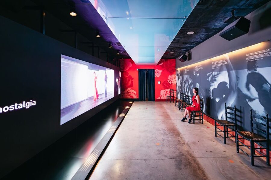 Seville: Puro Flamenco Show with Optional Museum Ticket - Should you visit the museum before the show?