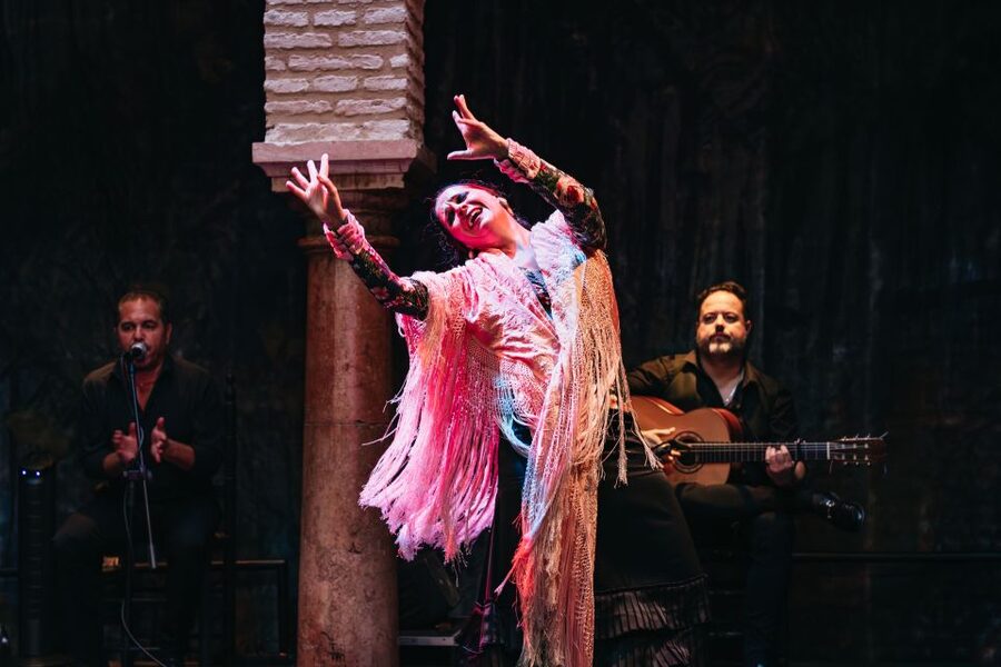 Seville: Puro Flamenco Show with Optional Museum Ticket - Is $34 a fair price for Seville?