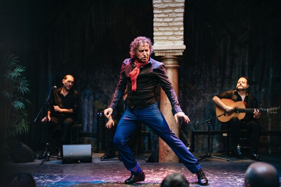 Seville: Puro Flamenco Show with Optional Museum Ticket - Who will enjoy Puro Flamenco most?