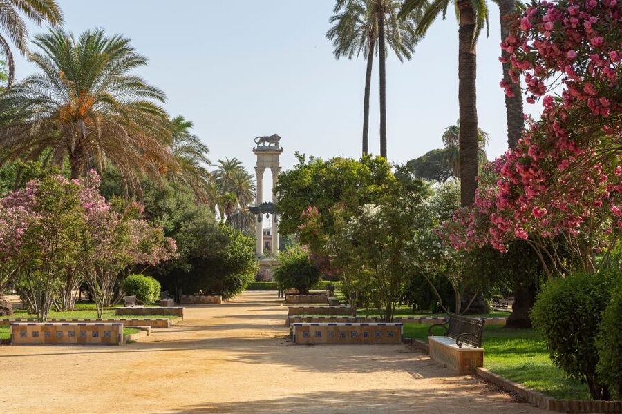 Seville: Relaxing City Bike Tour with a Tour Guide - Orange trees and palms in the Jardines de Murillo