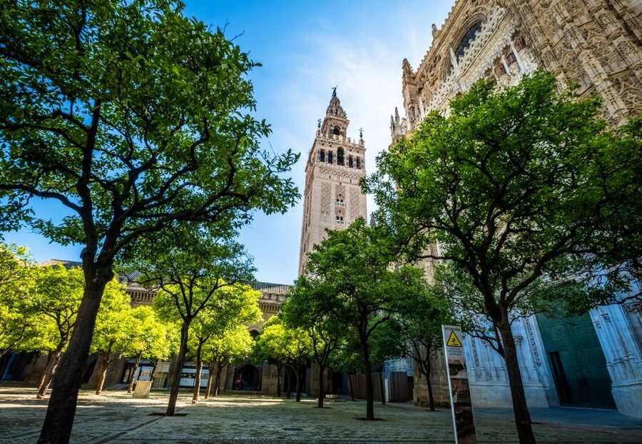 Seville: Small-Group Cathedral and Giralda Tour with Tickets - Inside the cathedral: the main altar, choir, and chapels