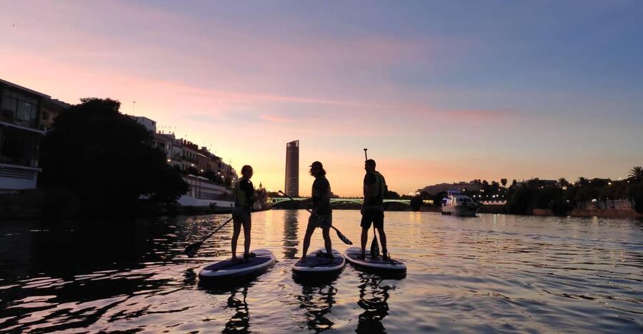 Seville: Sunset and Evening Paddle Boarding Tour - Five minutes to learn the basics