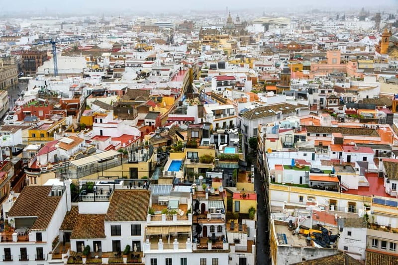 Seville: Sunset Roof Top Walking Tour - Starting at Plaza Nueva and Seville City Hall