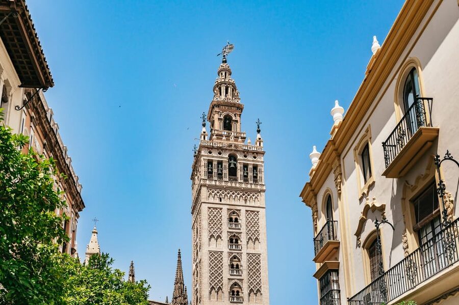 Seville: Tapas, Taverns and History Guided Walking Tour - The guide makes or breaks the evening