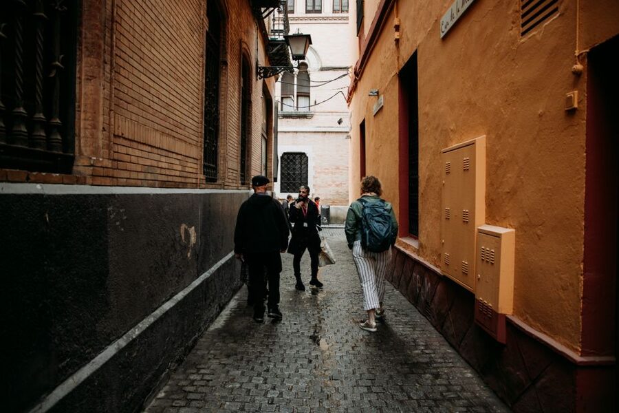 Seville: Tapas, Taverns, and History Walking Tour - Final verdict: a tasty introduction to local Seville