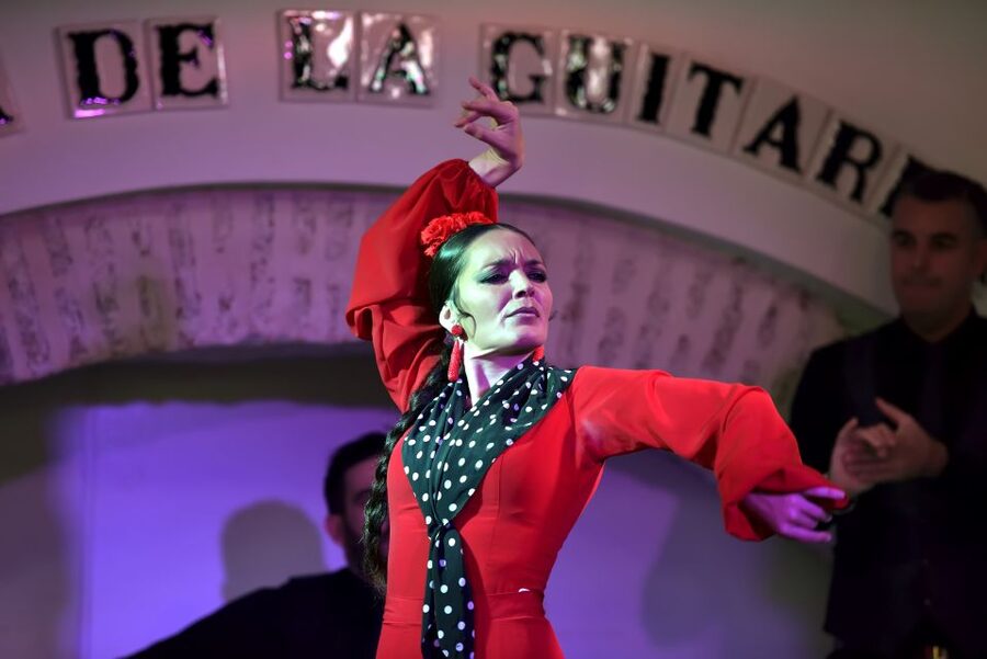 Seville: Ticket to Flamenco Show at La Casa de la Guitarra - A short introduction before the music begins