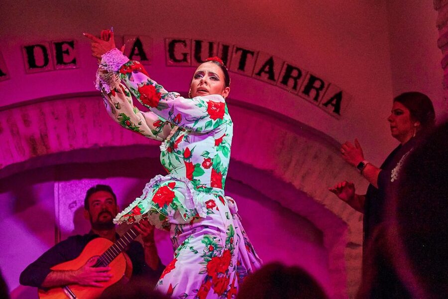 Seville: Ticket to Flamenco Show at La Casa de la Guitarra - What the one-hour flamenco performance includes