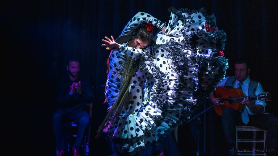 Seville: Traditional Flamenco Show in Triana - Practical advice for a smoother evening
