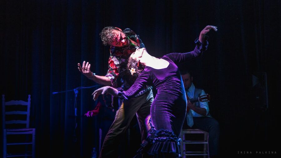 Seville: Traditional Flamenco Show in Triana - A small room with a big advantage
