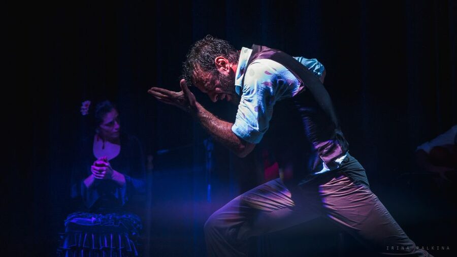 Seville: Traditional Flamenco Show in Triana - What the audience response tells you
