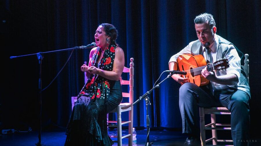 Seville: Traditional Flamenco Show in Triana - Who should book this show