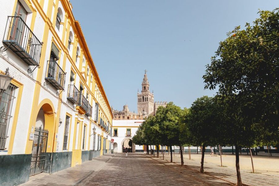 Seville: VIP Exclusive Early Access Tour of The Alcazar - Meeting at Plaza del Triunfo before Seville wakes