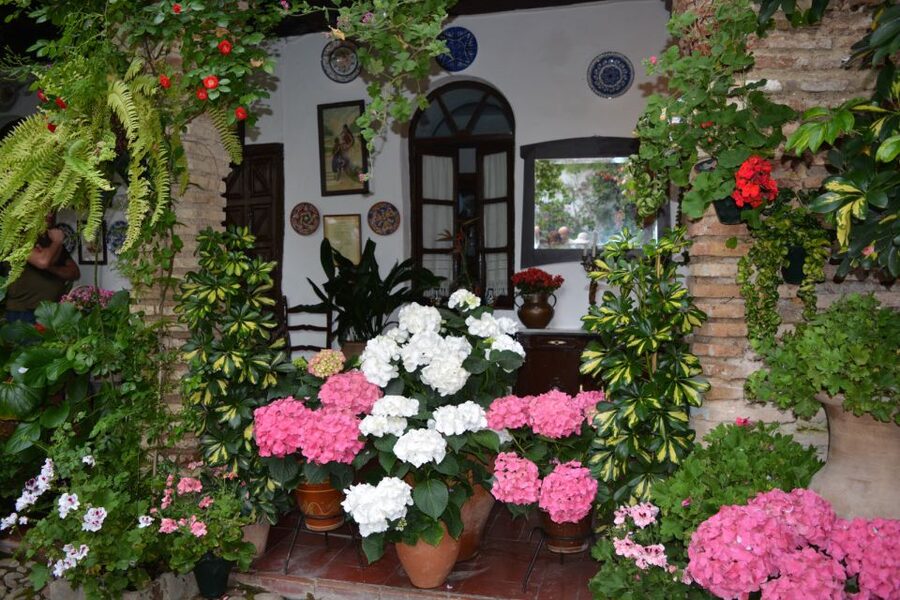 Sights, Sounds, and Scents of Córdoba's Patios - Why Córdoba’s patios matter