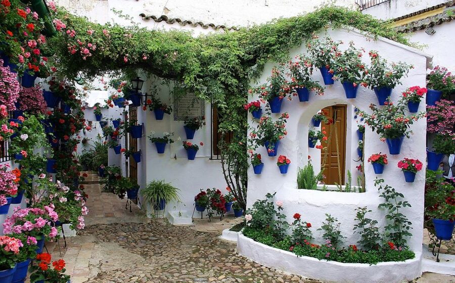 Sights, Sounds, and Scents of Córdoba's Patios - Santa Marina, San Agustín, and San Lorenzo