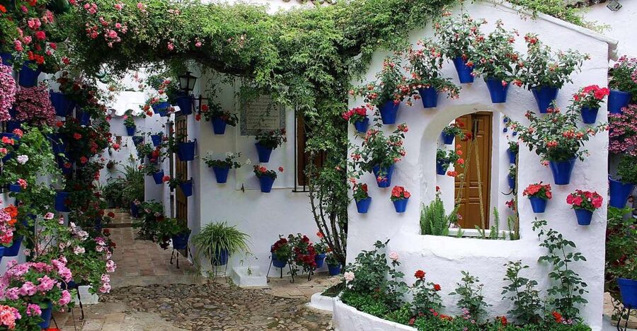 Sights, Sounds, and Scents of Córdoba's Patios - Is $26 a good value?