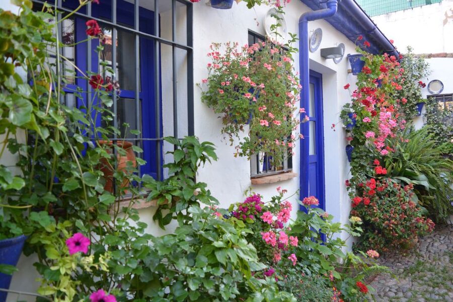 Sights, Sounds, and Scents of Córdoba's Patios - Who should book this walk?