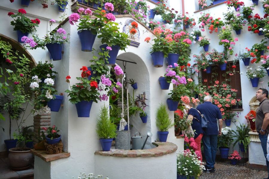Sights, Sounds, and Scents of Córdoba's Patios - Practical advice before you go