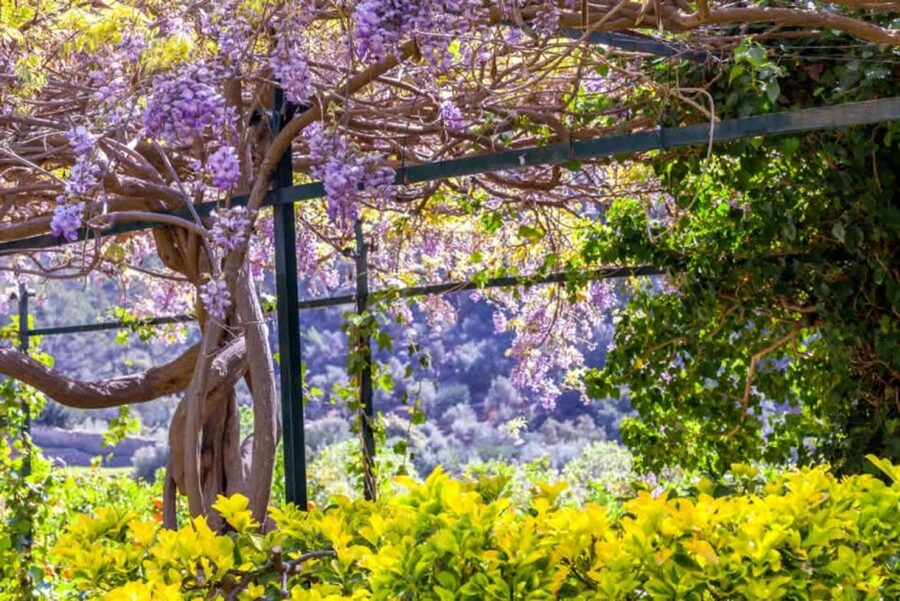 Sóller: Jardines de Alfabia Entrance Ticket - What the gardens look like in different seasons