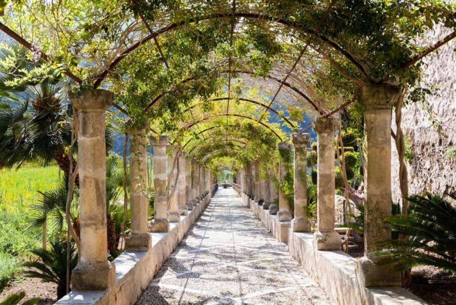 Sóller: Jardines de Alfabia Entrance Ticket - Reaching Alfabia from Palma or Sóller
