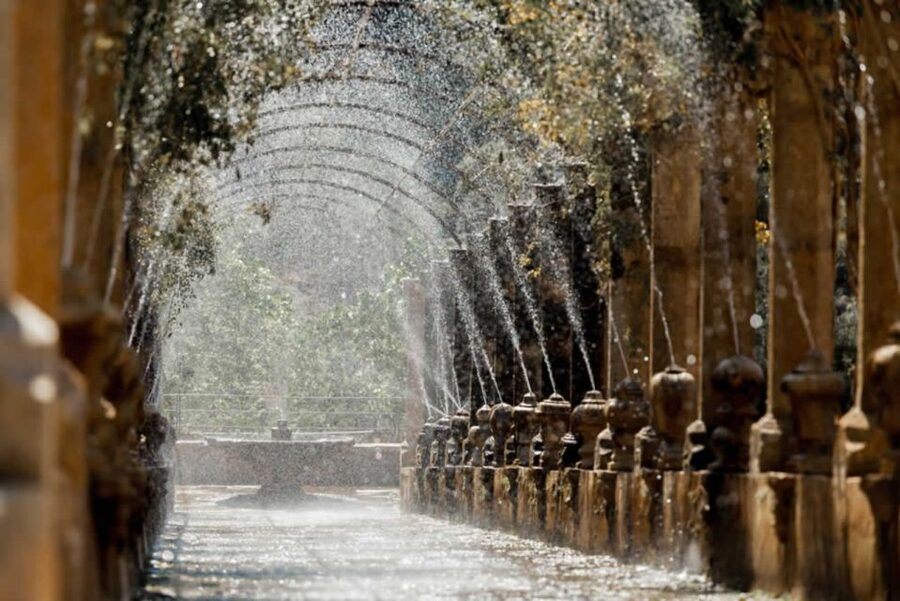 Sóller: Jardines de Alfabia Entrance Ticket - Walking beneath the three rows of plane trees