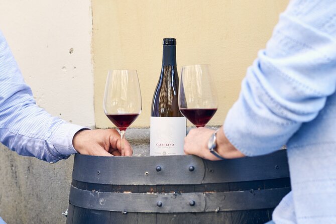 Sommelier-Led Food & Wine Experience in Barcelona - Who will get the most from this Barcelona tour?