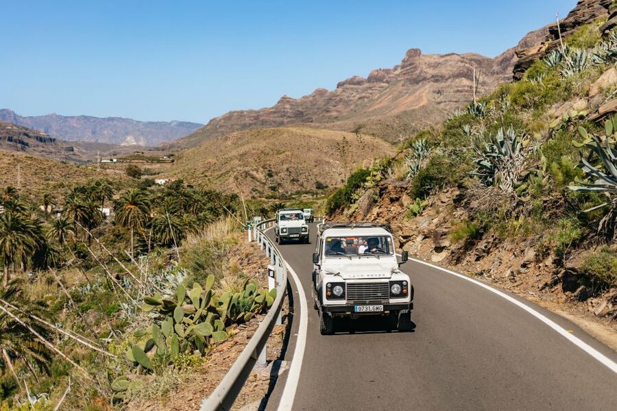 South Gran Canaria: Off-Road Valleys & Villages Jeep Tour - Mirador Las Moscas and the final view