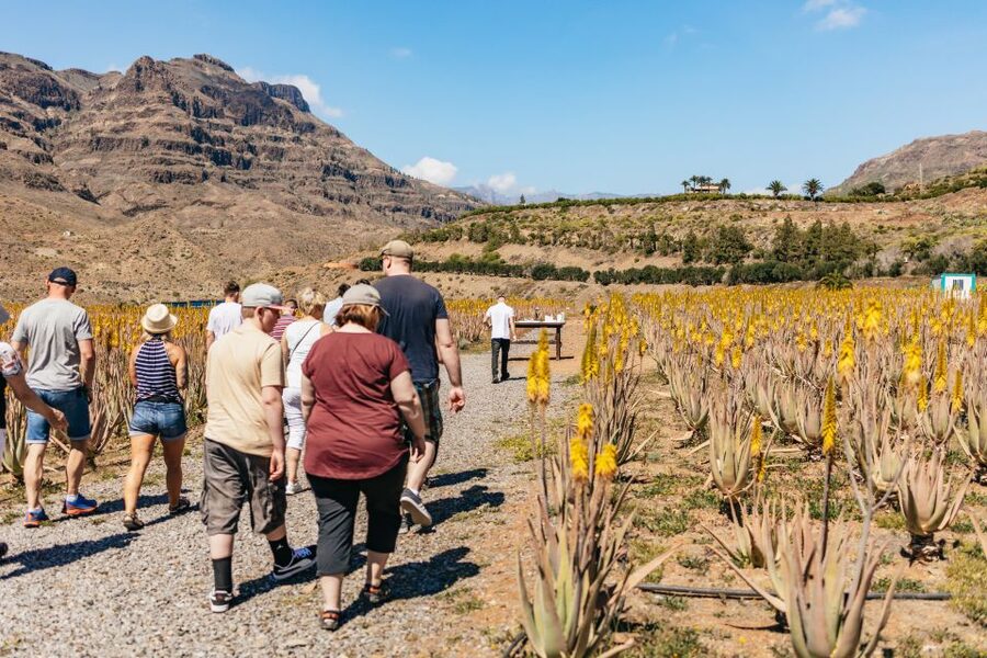 South Gran Canaria: Off-Road Valleys & Villages Jeep Tour - Pickup from Maspalomas and the southern resorts