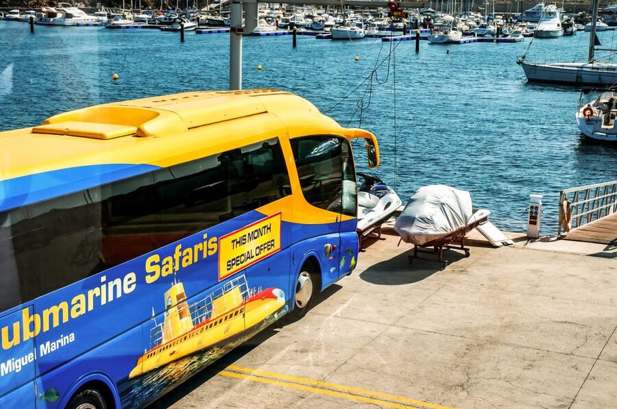 Southern Tenerife: 50-Minute Submarine Dive - Descending to 30 metres below the Atlantic