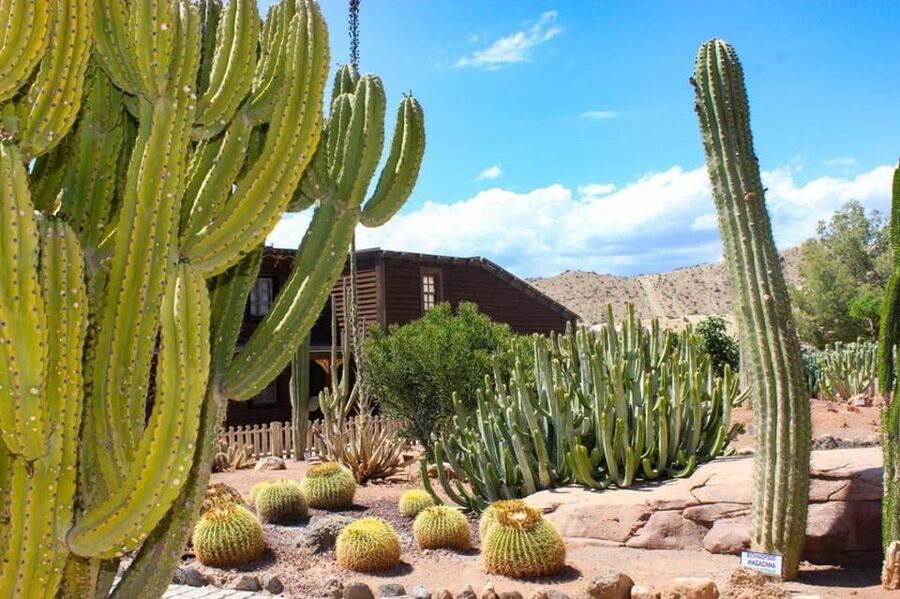 Tabernas: MiniHollywood Oasys Entry Ticket & Optional Buffet - Live shows with a movie-set feel