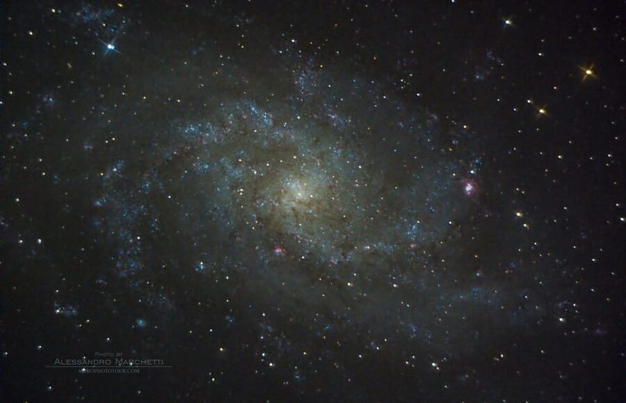 Teide National Park: Guided Large Telescope Stargazing Tour - The guide makes or breaks the evening