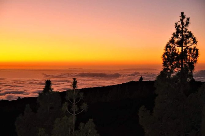 Teide National Park Sunset & Stargazing with Dinner (Star Safari) - What the $95.53 price really buys