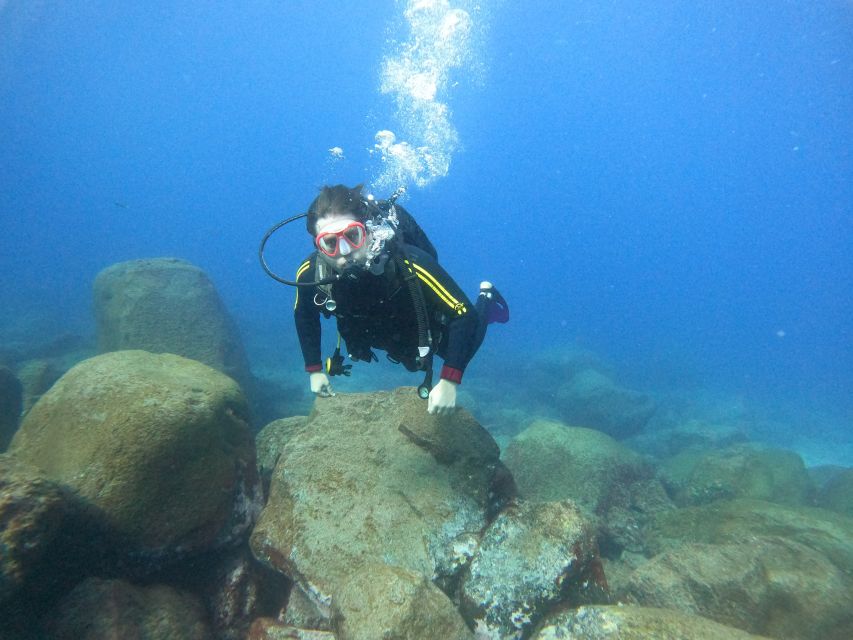 Tenerife: Beginners Scuba Dive Experience in Turtle Area - A 15-minute speedboat ride with Atlantic views