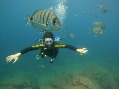 Beginners Scuba Dive Experience in Turtle Area