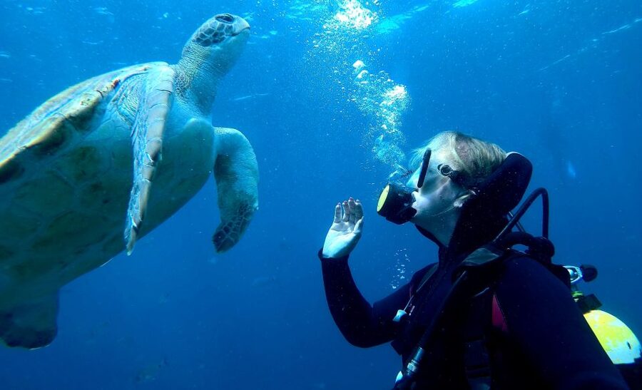 Tenerife: Beginners Scuba Dive Experience in Turtle Area - Snorkeling near the turtle area