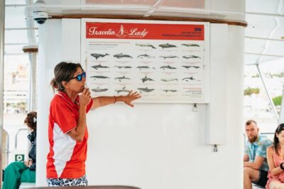 Eco-Yacht Whale and Dolphin Watching and Swimming